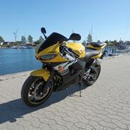 Yamaha YZF R6 Special Edition
