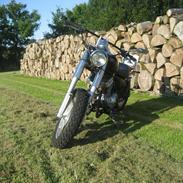 Jinlun kx 250