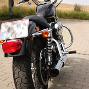 Harley Davidson Sportster XL 883C