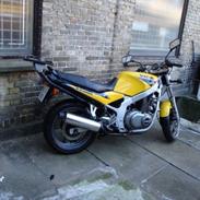 Suzuki GS 500 E