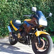 Yamaha FZ 750