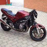 Honda CBR 600 F2