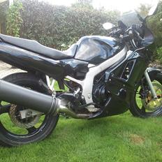 Suzuki GS 500 E (Solgt)