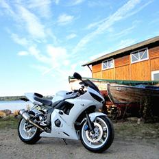 Yamaha YZF R6