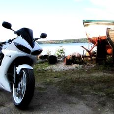 Yamaha YZF R6