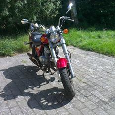 Dorton XT 250