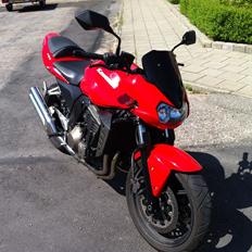 Kawasaki Z750 (Købt 2010 - Solgt 2012)