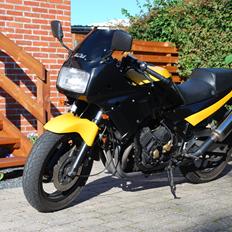 Yamaha FZ 750