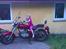 Dorton XT 250