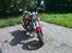 Dorton XT 250