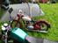 Jawa perak type 11 250cc