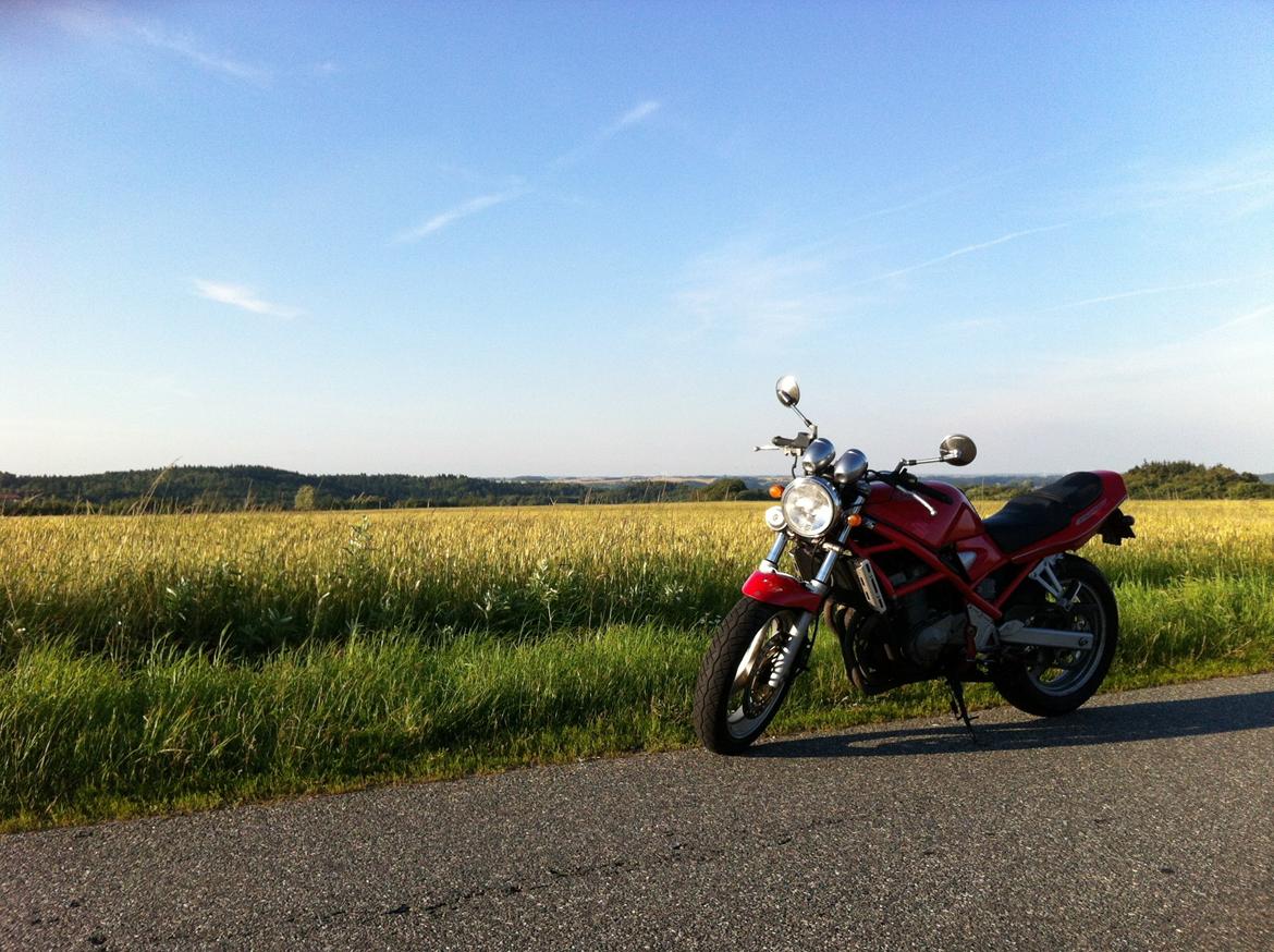 Suzuki GSF 400 Bandit billede 10