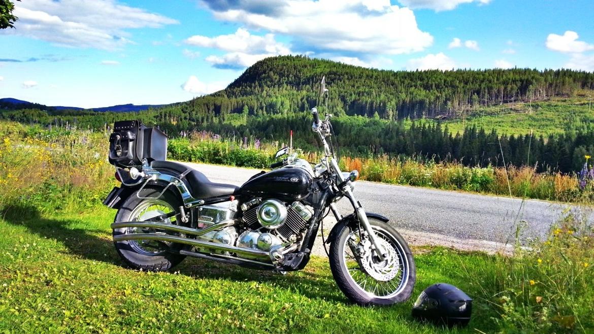 Yamaha Dragstar XVS billede 1