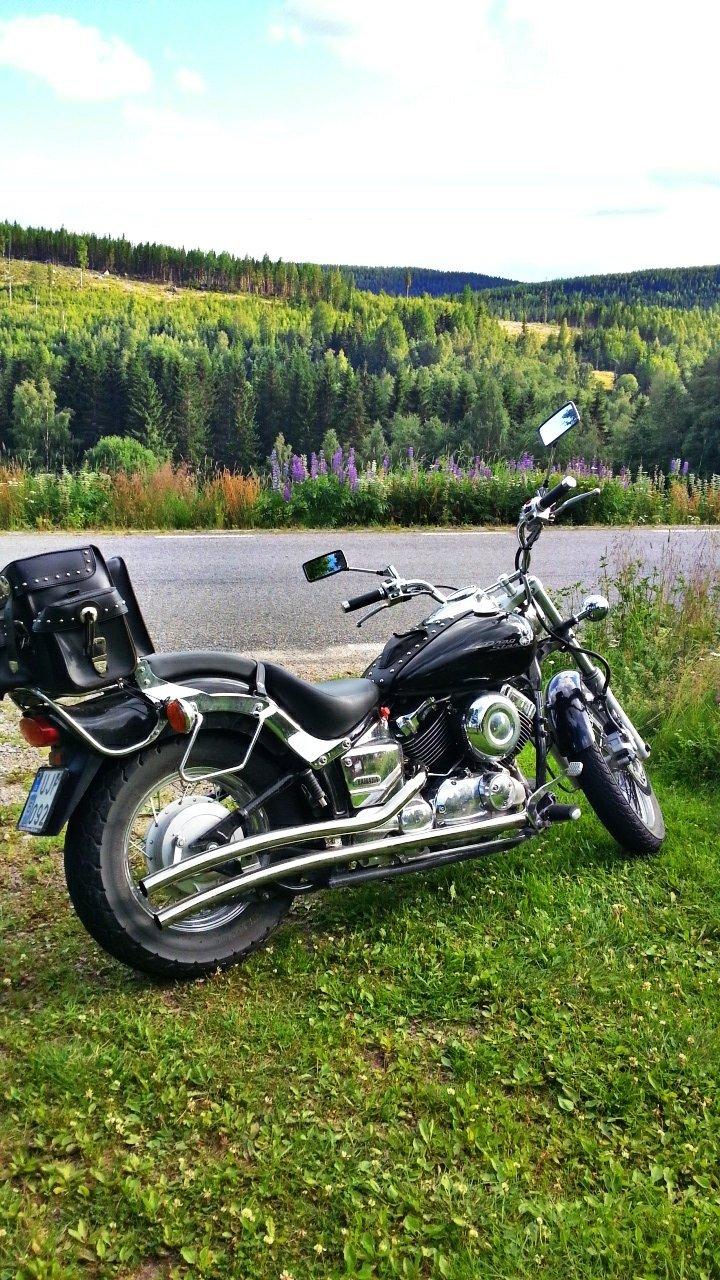 Yamaha Dragstar XVS billede 2