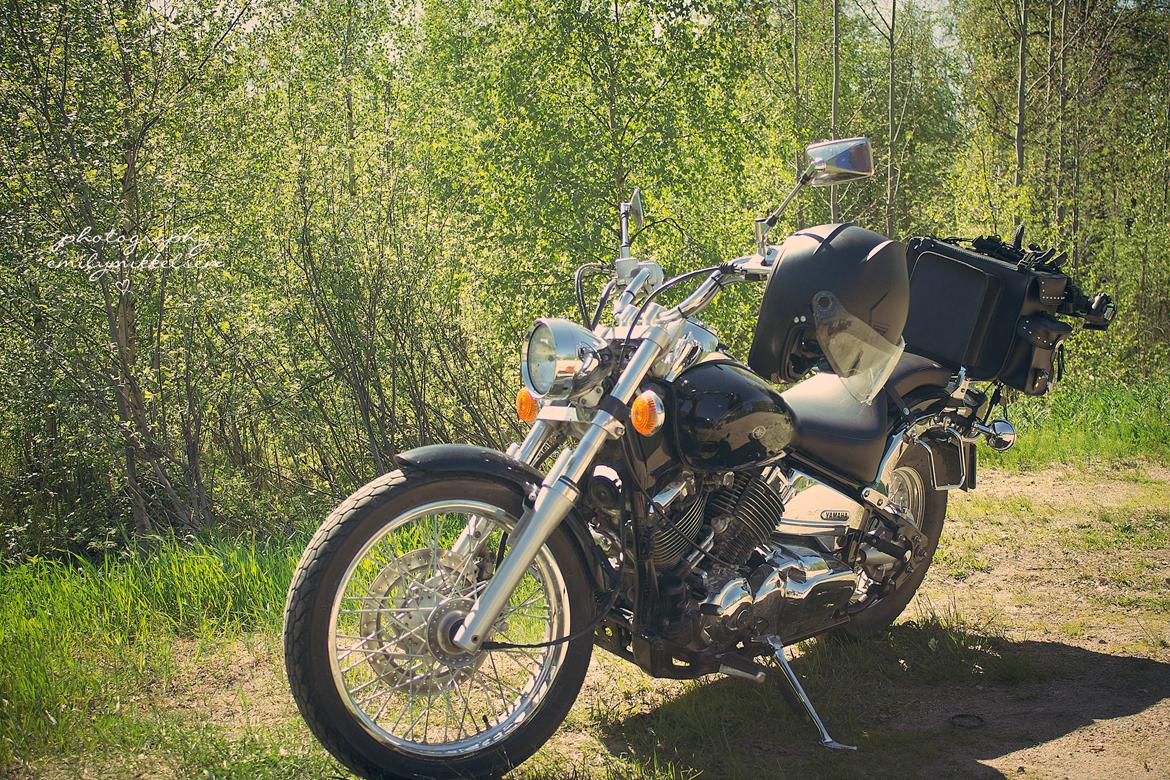 Yamaha Dragstar XVS billede 6