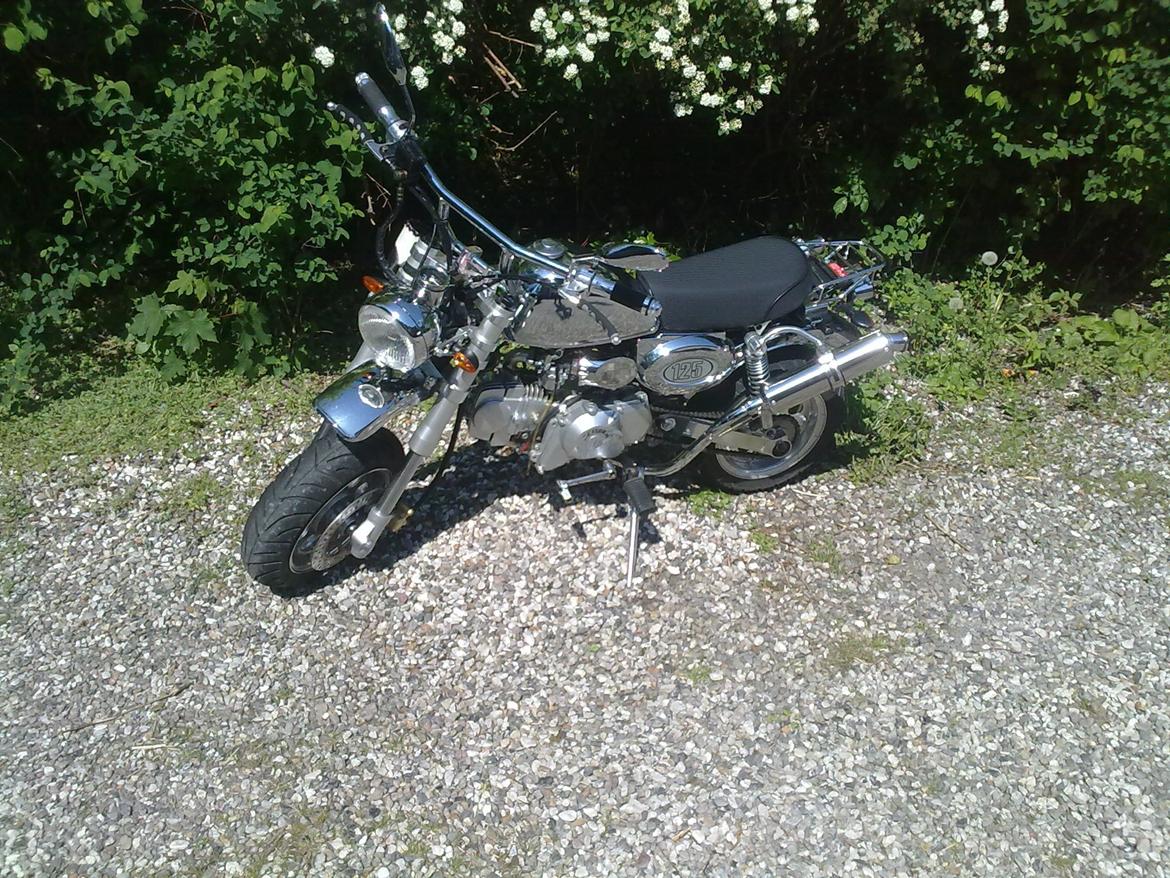 Skyteam Monkey 125 / Super motard ombygning. billede 2