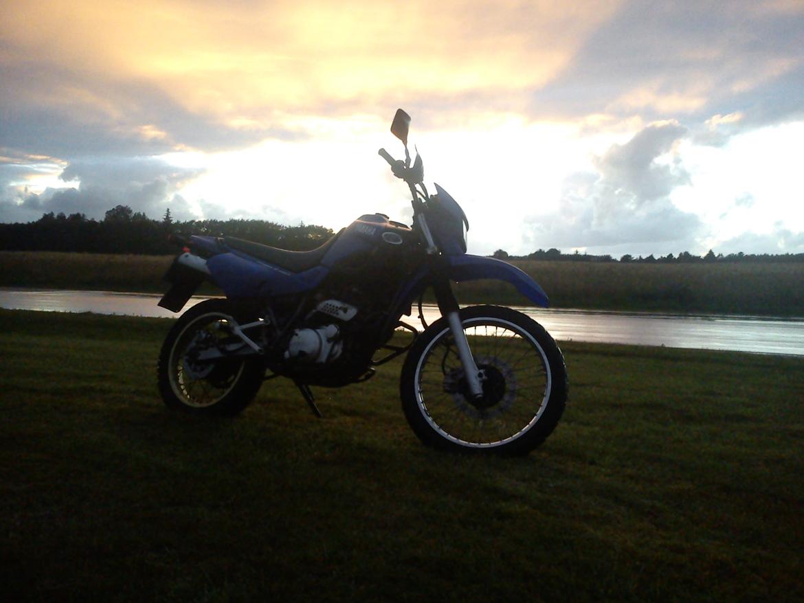 Yamaha Xt 600 billede 2