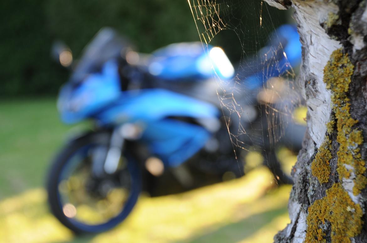 Kawasaki Ninja ZX6R billede 18