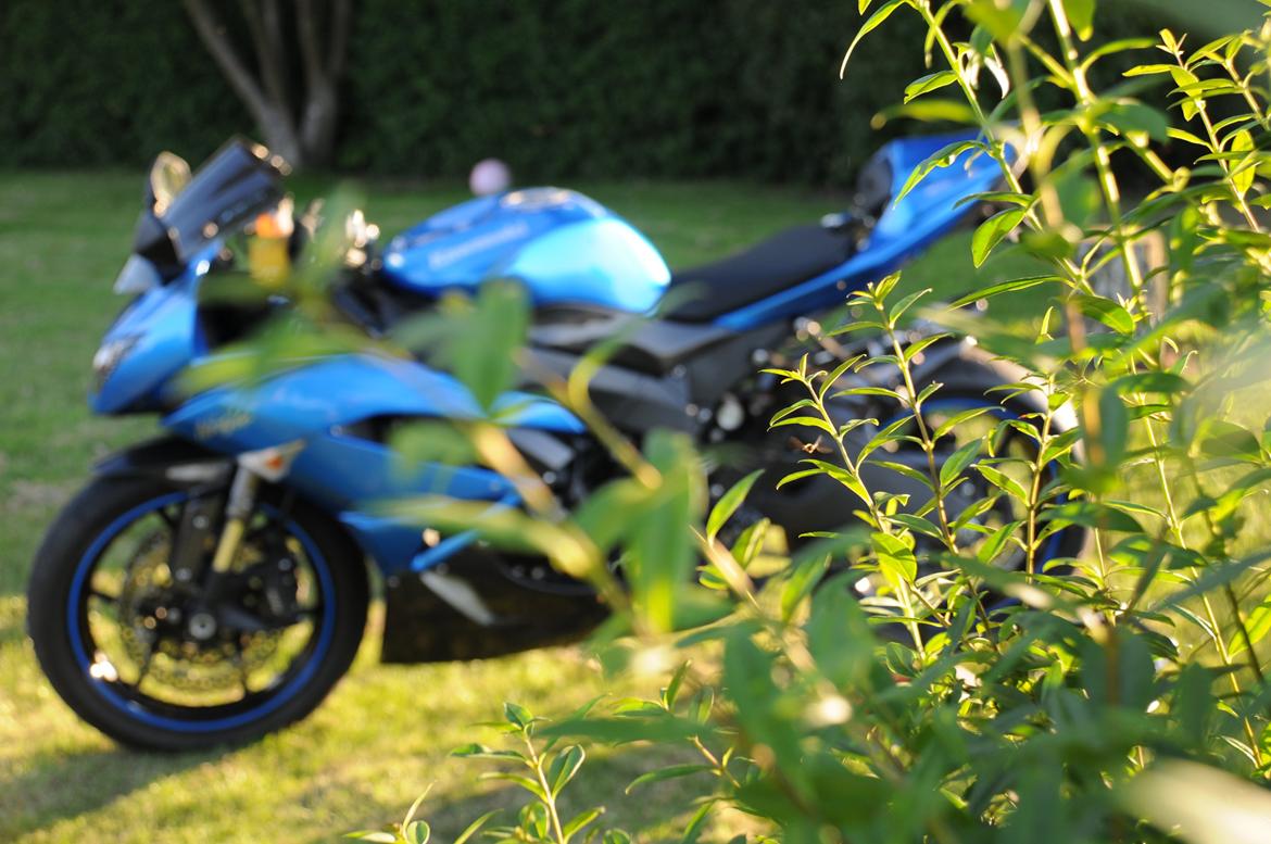 Kawasaki Ninja ZX6R billede 19