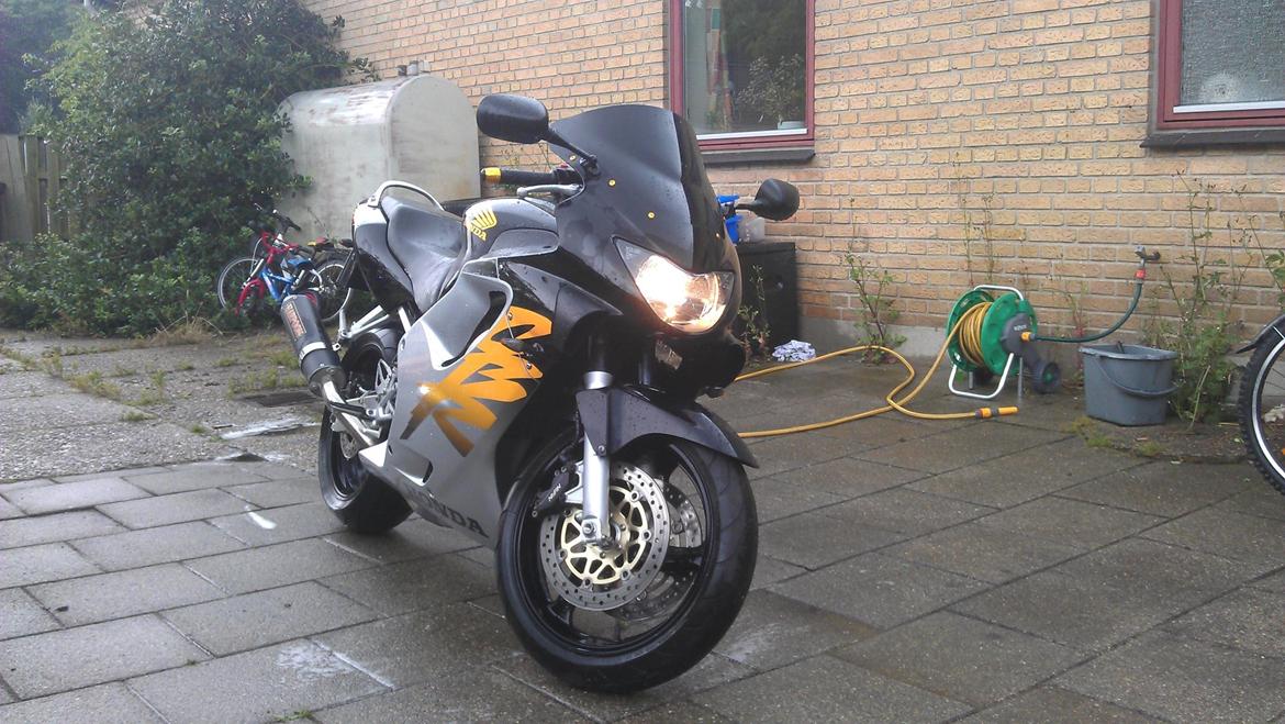 Honda CBR 600 F4 - nye bobbel kåbeglad,guld styrender,guld skruer til kåbe og nye led forblink :) billede 1