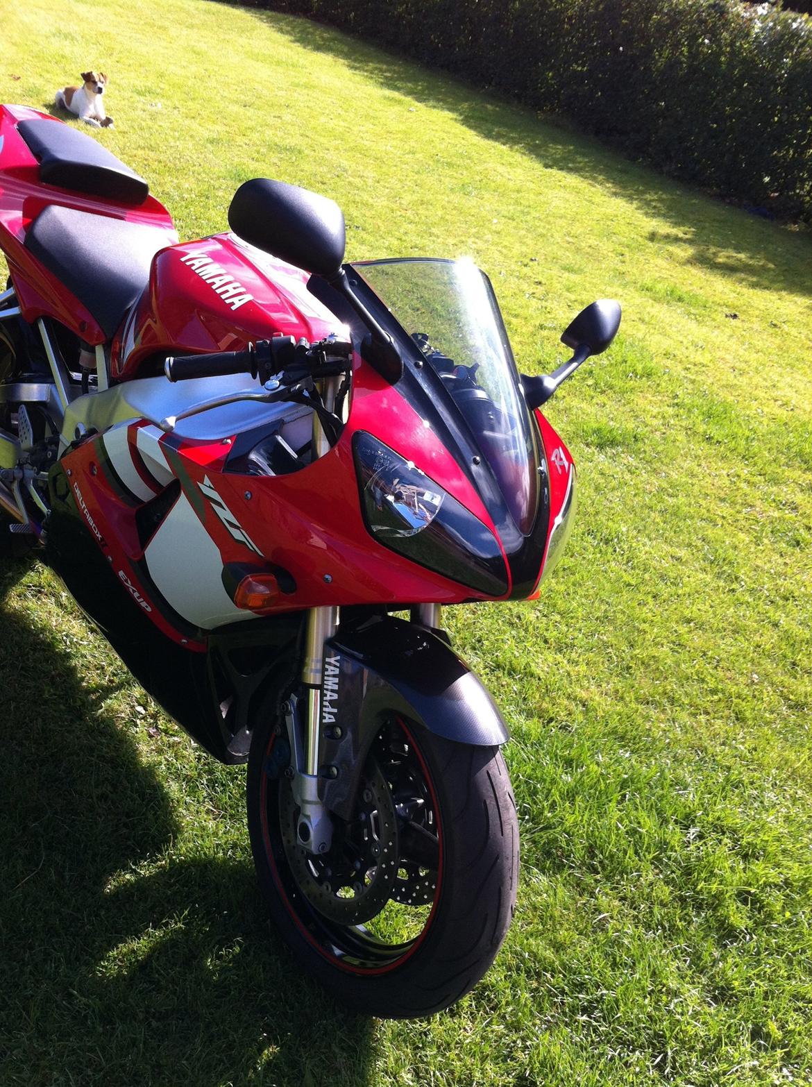 Yamaha Yzf R1 billede 6