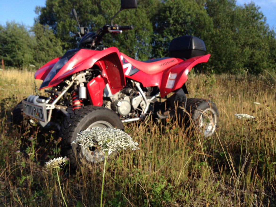 Hyosung TE 450 billede 1