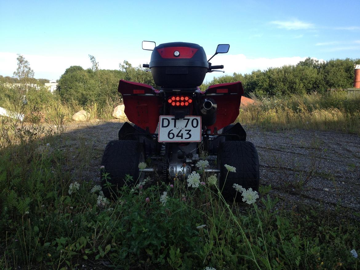 Hyosung TE 450 billede 5