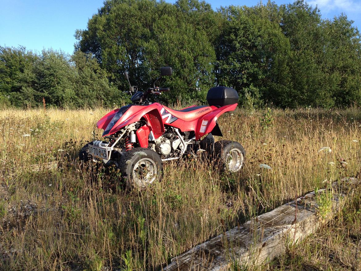 Hyosung TE 450 billede 9