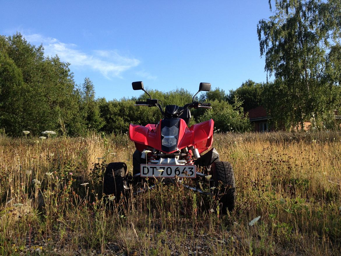 Hyosung TE 450 billede 11