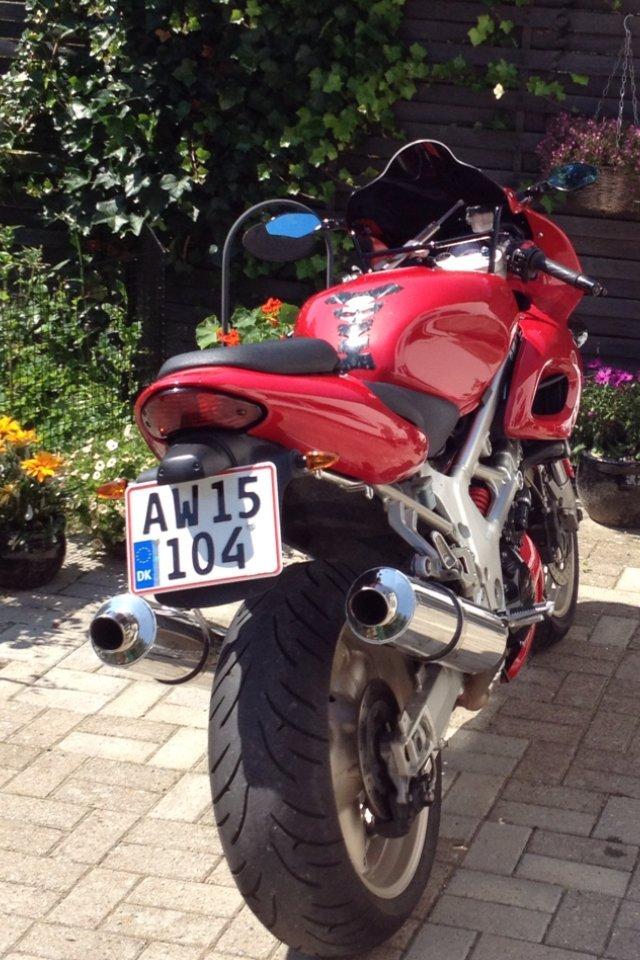 Suzuki TL1000S billede 2