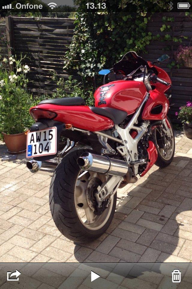 Suzuki TL1000S billede 3