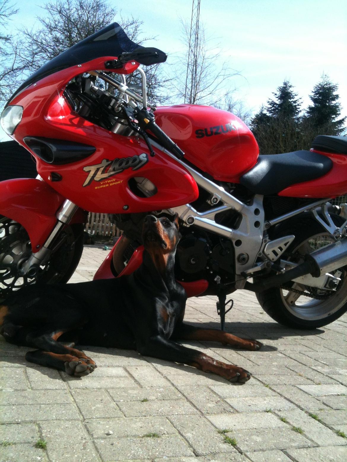 Suzuki TL1000S billede 5