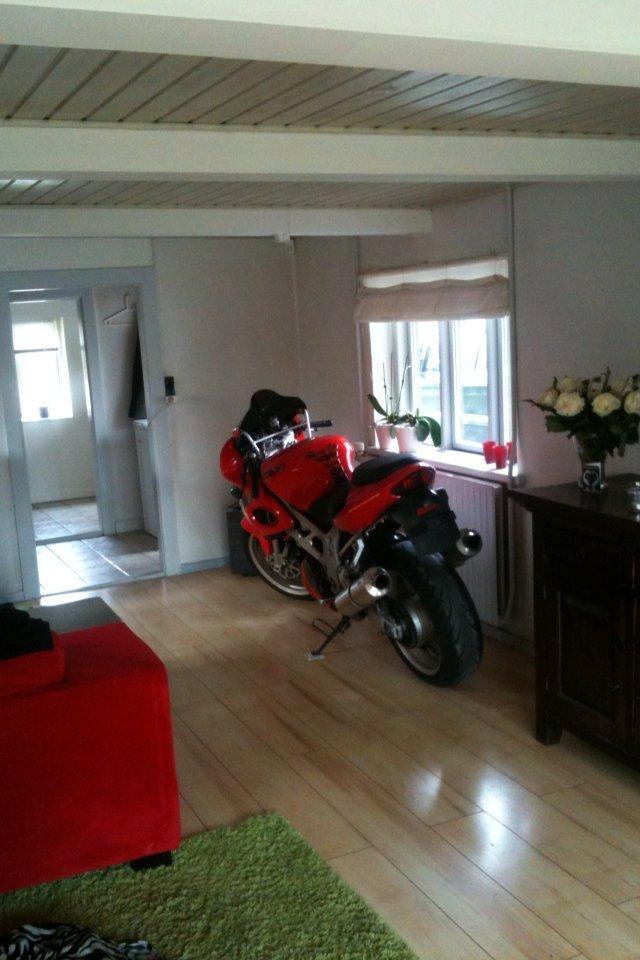 Suzuki TL1000S billede 6