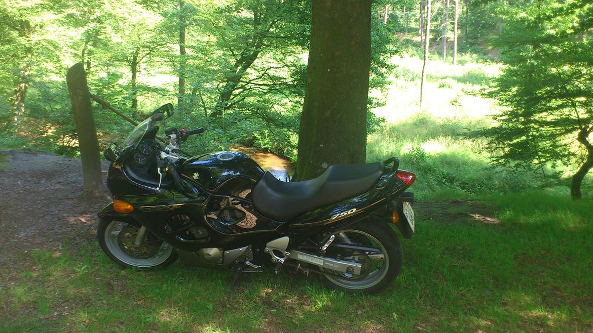 Suzuki gsx750f billede 11