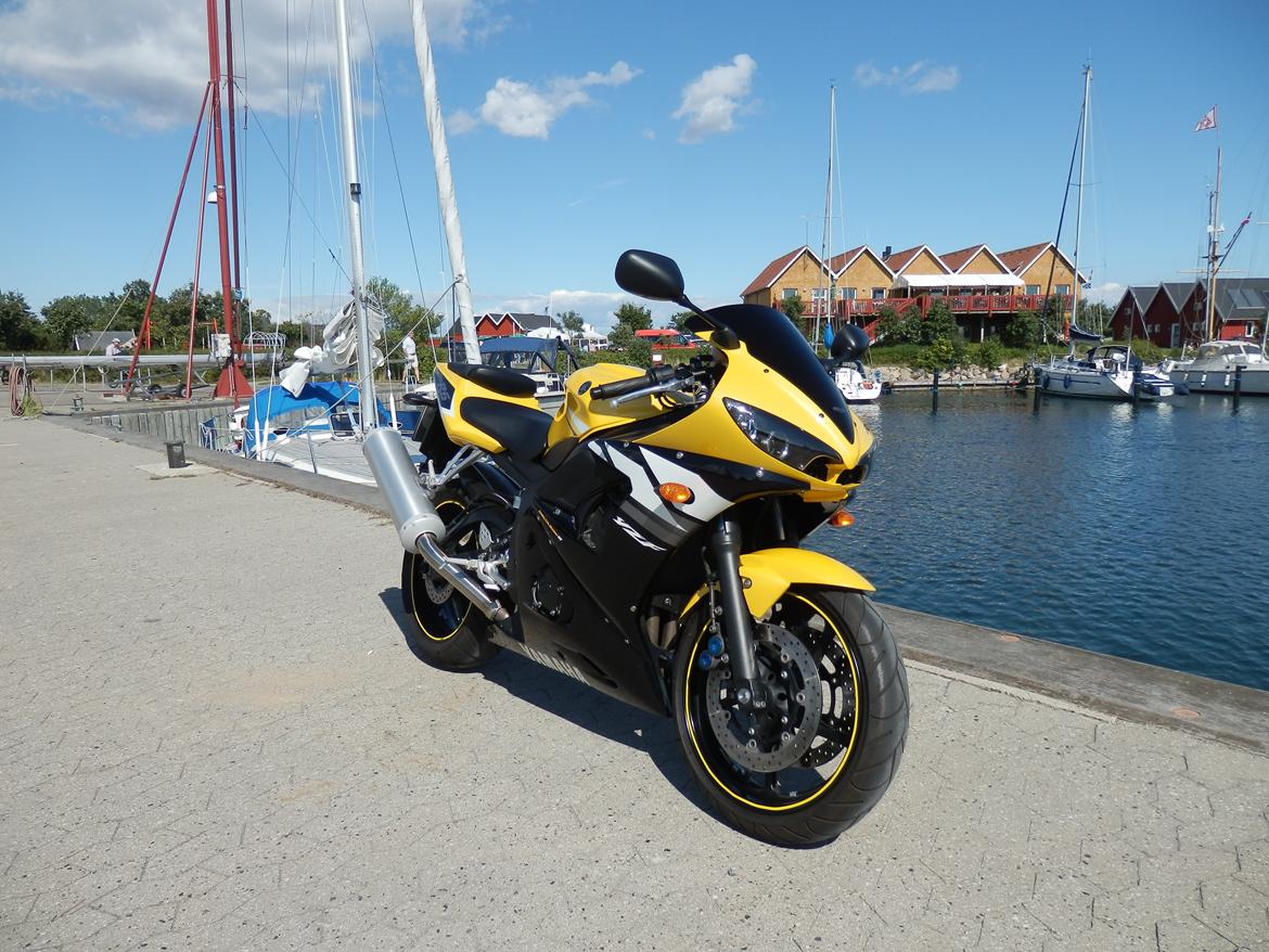 Yamaha YZF R6 Special Edition billede 1