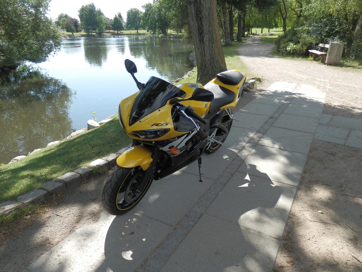 Yamaha YZF R6 Special Edition billede 2