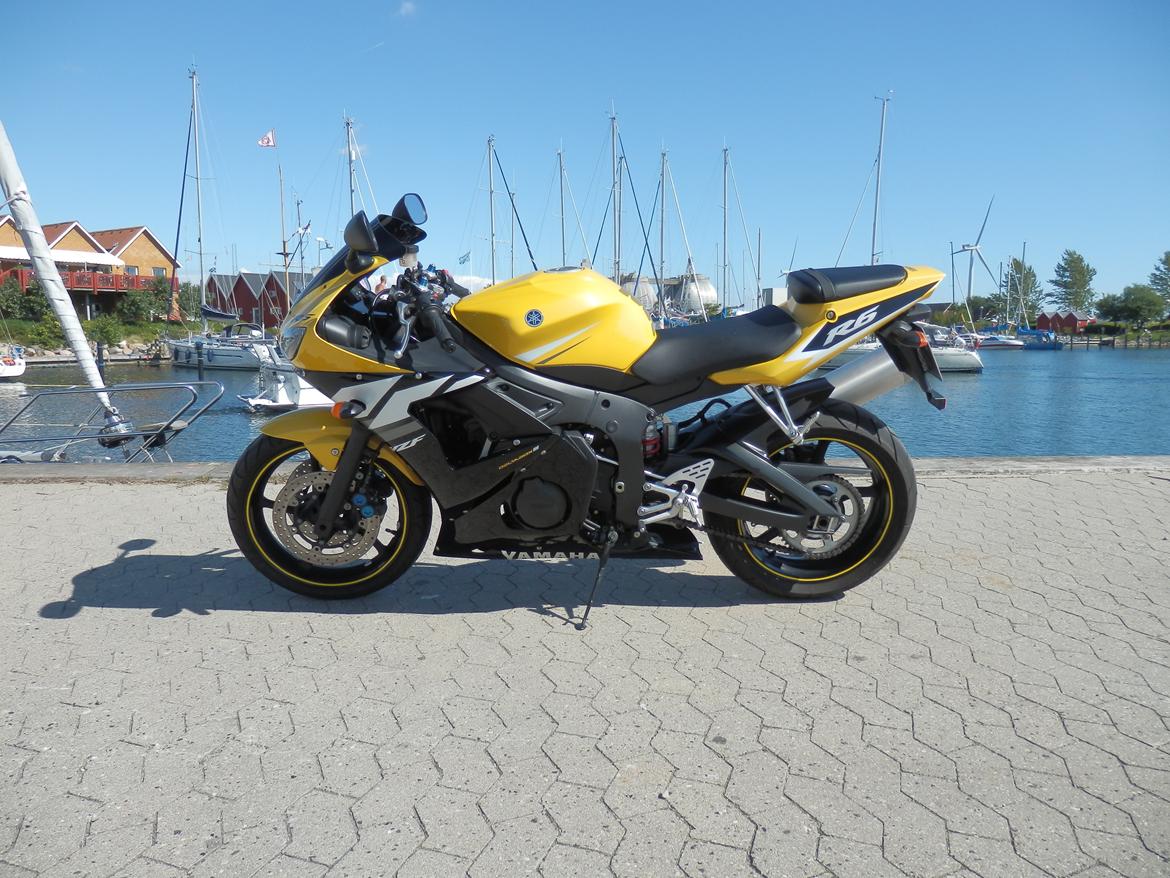 Yamaha YZF R6 Special Edition billede 3