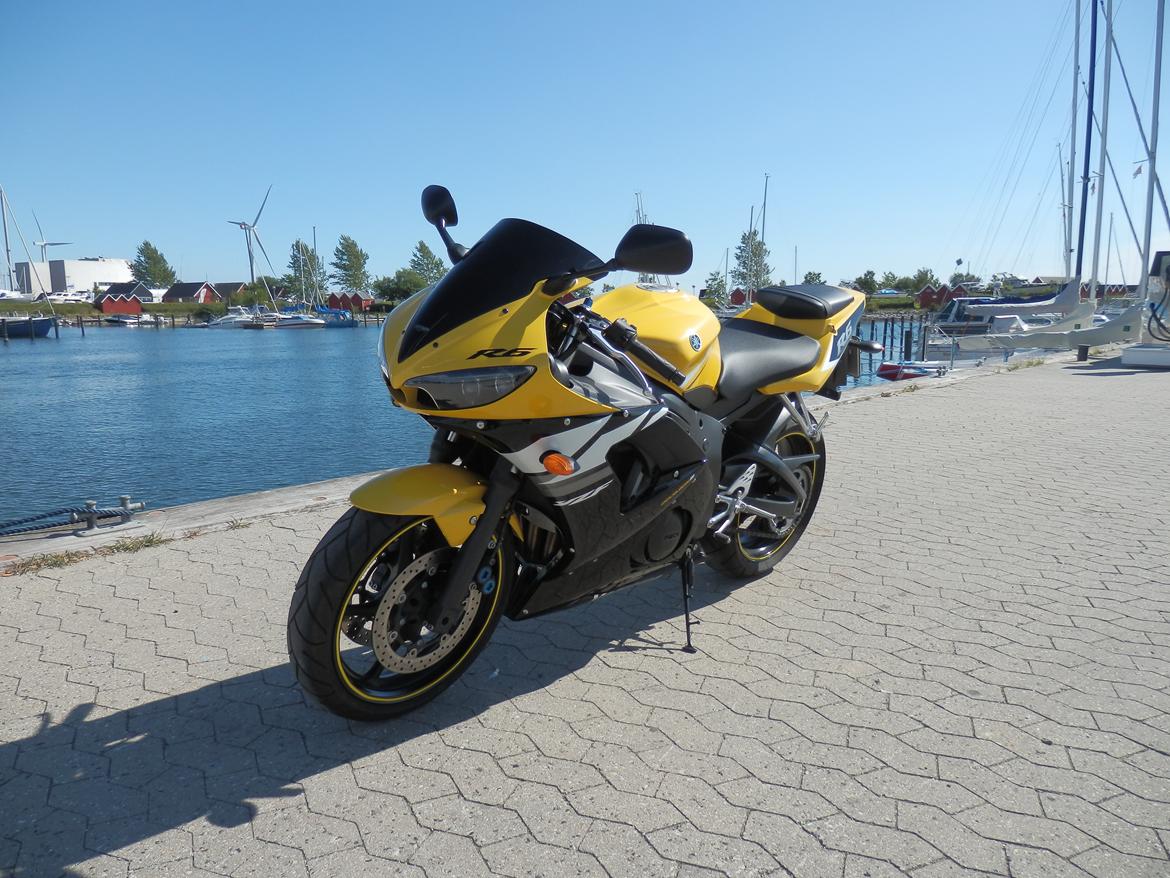 Yamaha YZF R6 Special Edition billede 4