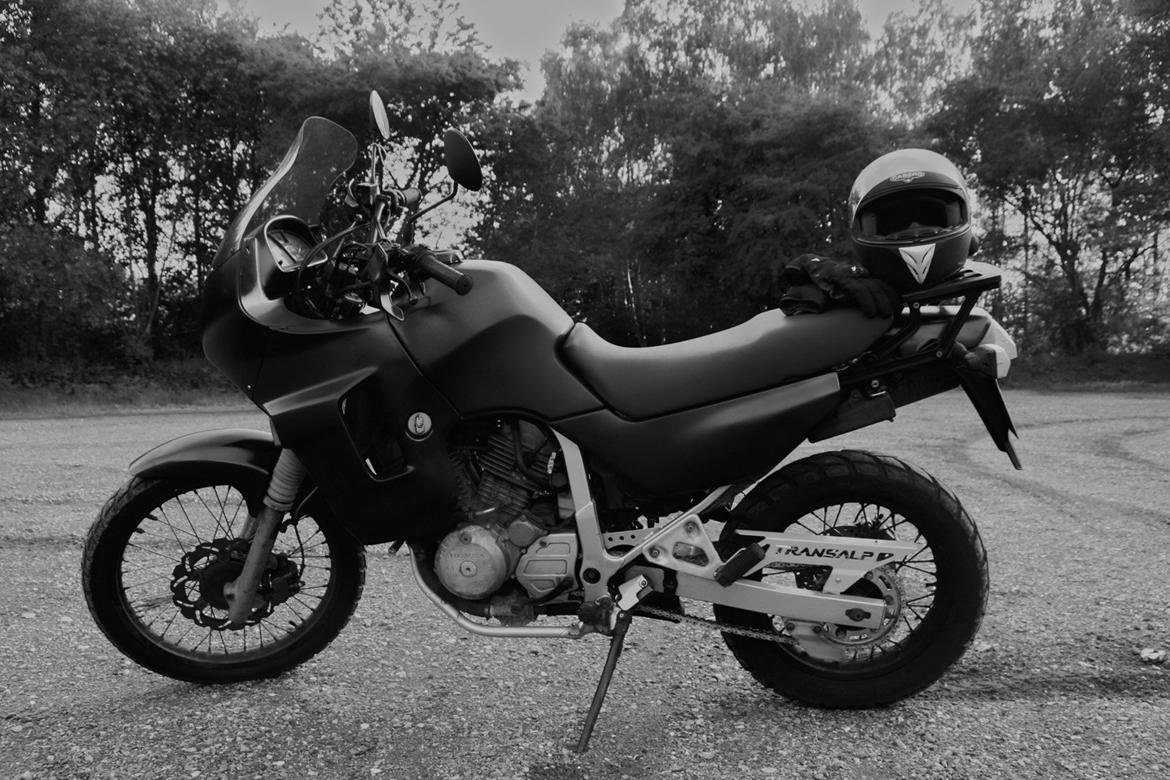 Honda XL 600 Transalp billede 7