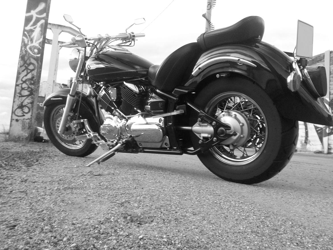 Yamaha XVS 1100 Dragstar - Med bagsæde på billede 3