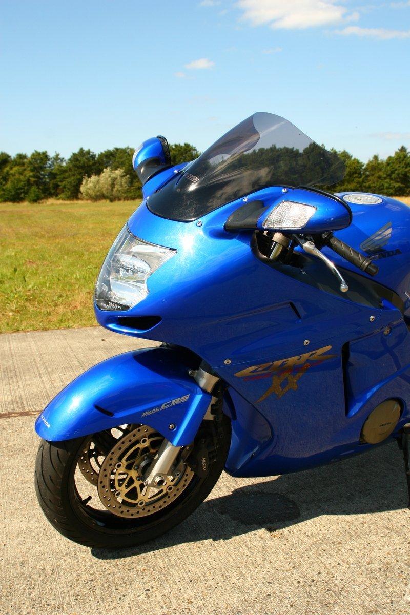 Honda CBR 1100 XX Super Blackbird SOLGT billede 5