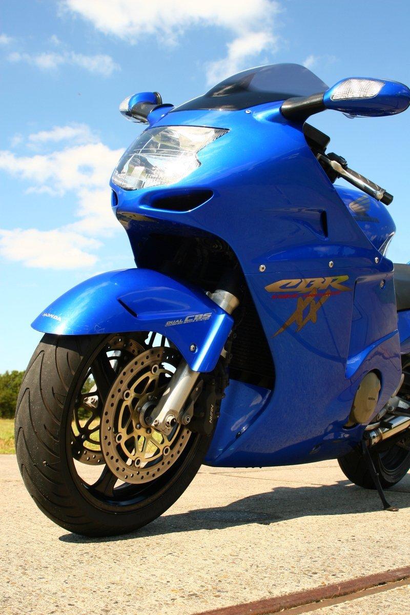 Honda CBR 1100 XX Super Blackbird SOLGT billede 7