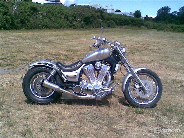 Suzuki vs 1400 billede 2