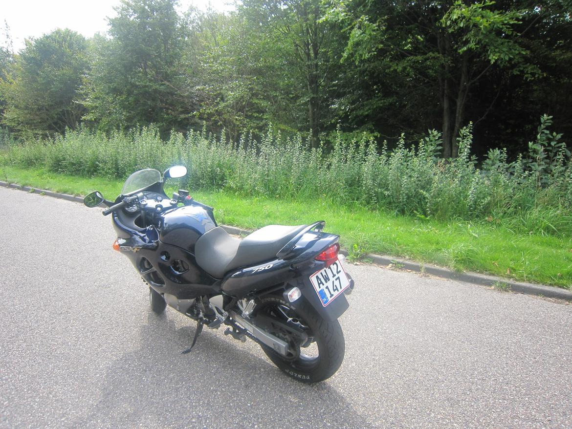 Suzuki GSX 750 F billede 3