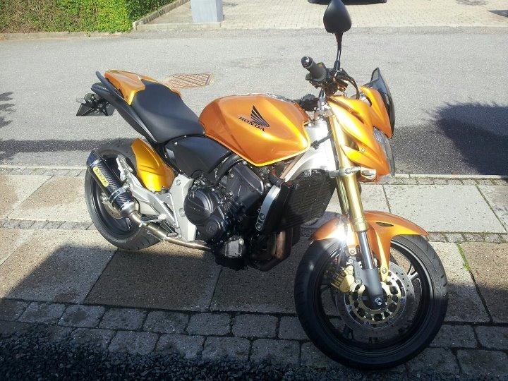 Honda CB600F Hornet billede 8