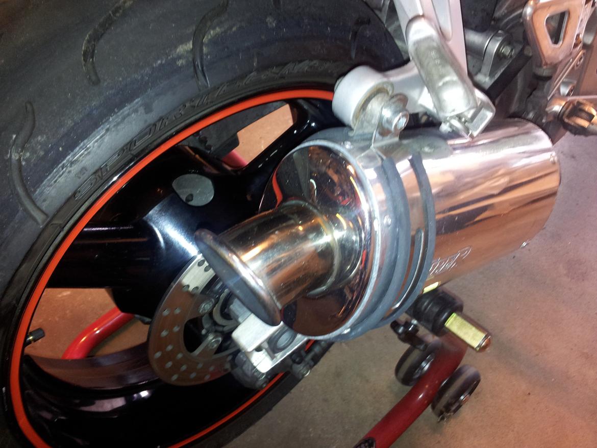 Suzuki TL 1000 S billede 17