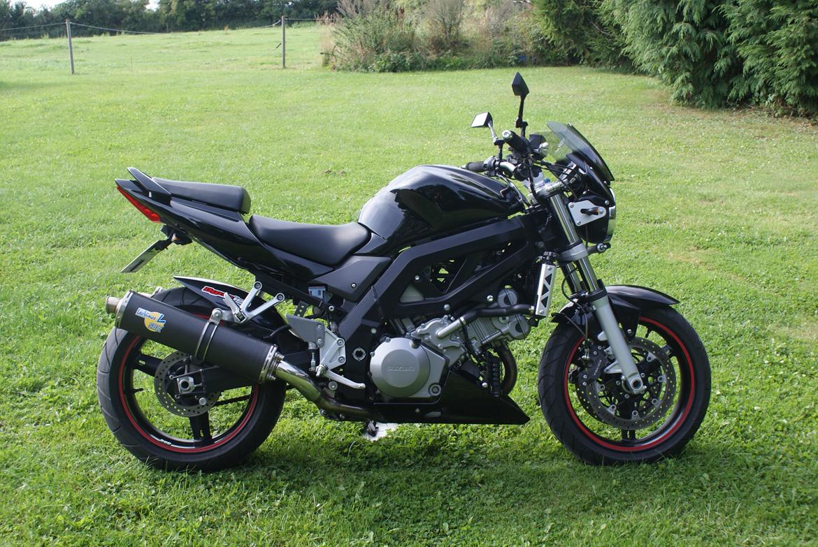 Suzuki SV1000N billede 1