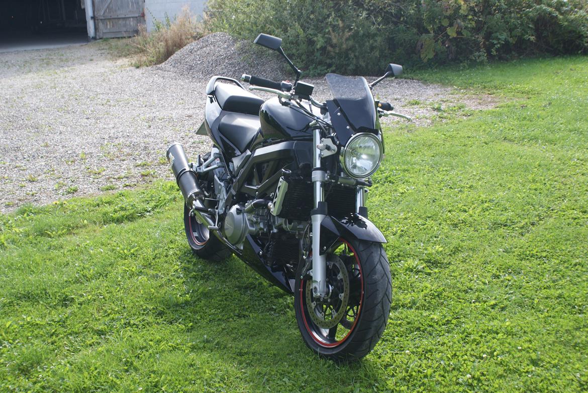 Suzuki SV1000N billede 4