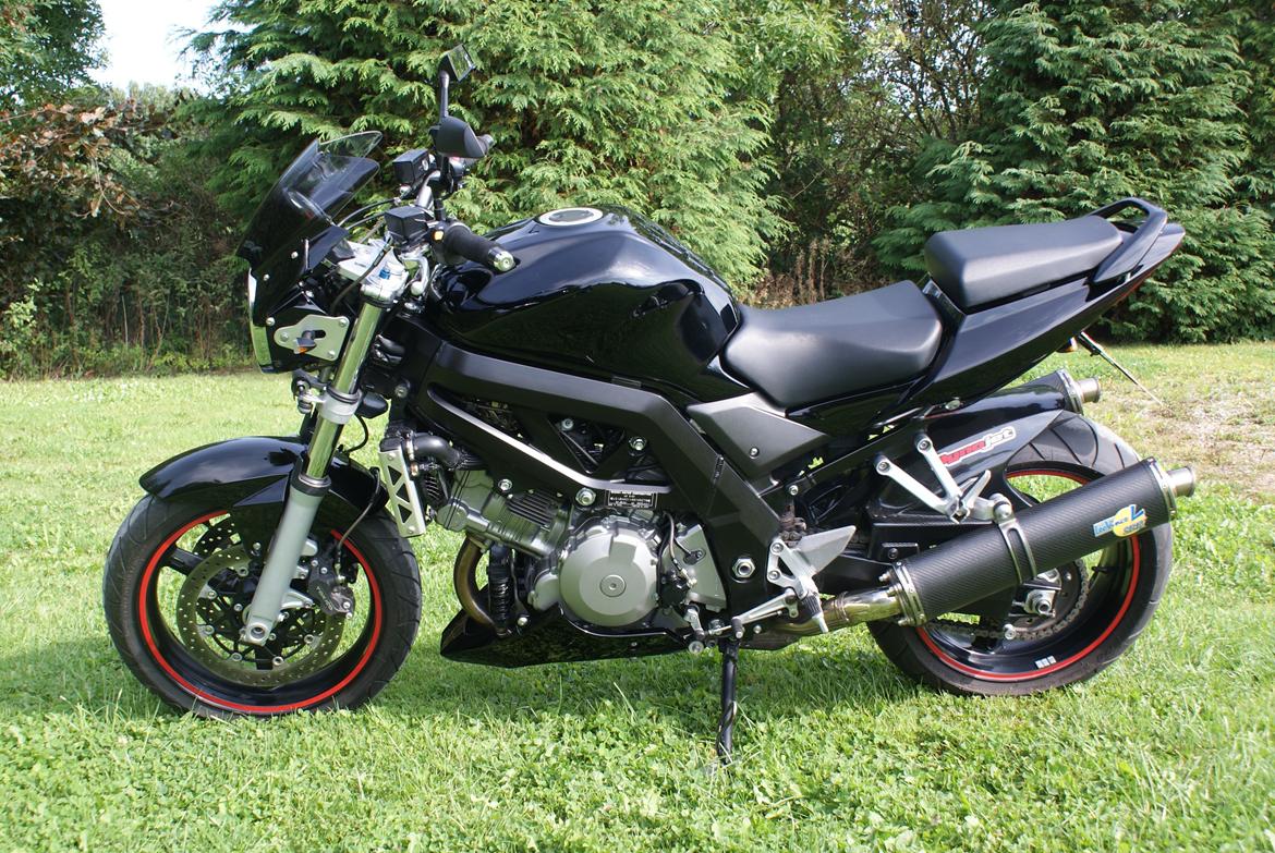 Suzuki SV1000N billede 5