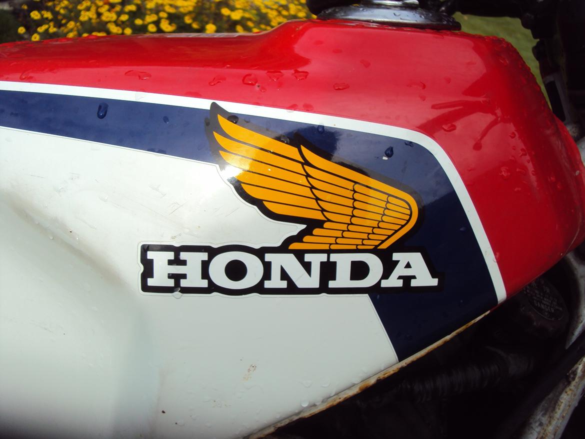 Honda MVX 250F billede 8